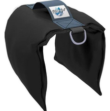 Load image into Gallery viewer, 2 Pack - 25LB Steel Shot Ballast Bags